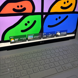 LG 그램 i5 17인치