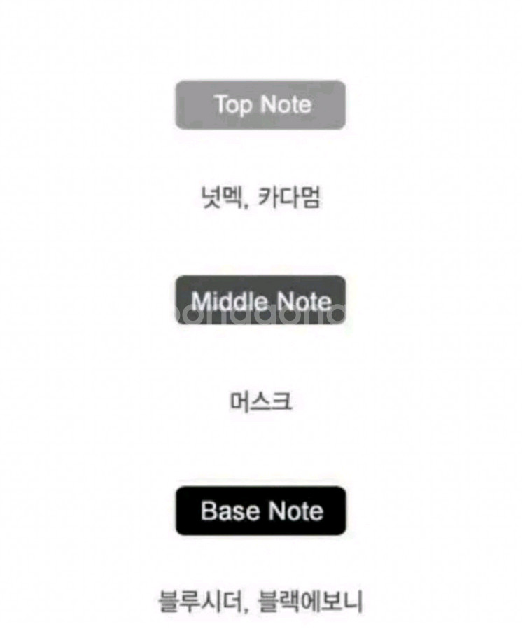 나르시소 로드리게즈 포힘 블루 느와르 오드뚜왈렛100m--2