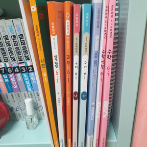 2025년 초등학교 6학년 1학기 교과서 9권 사용본