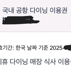 더라운지앱 공항 16,000원메뉴 식사권