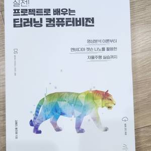 프로젝트로 배우는 딥러닝 컴퓨터비전
