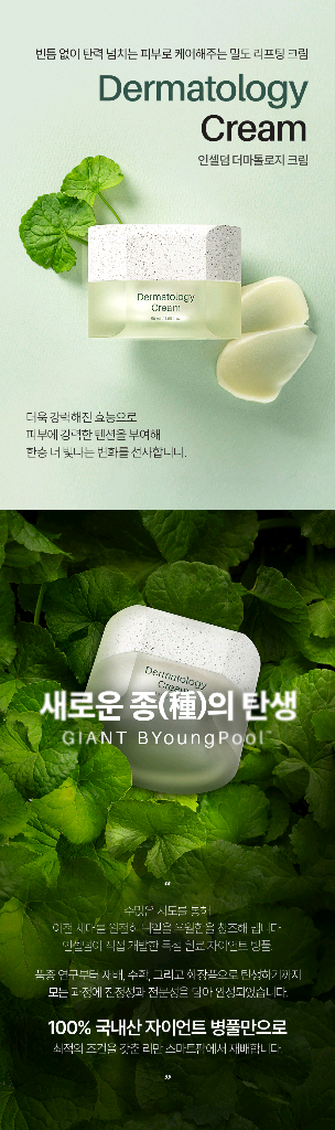 더마톨로지크림 엑티브크림 원빈화장품 인셀덤 [무료배송]--2