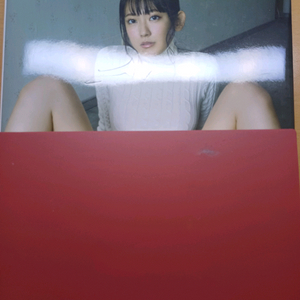 일본 그라비아 성인화보집