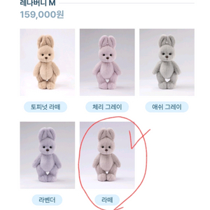 테디테일즈 레나버니 M 라떼 미개봉 팝니다