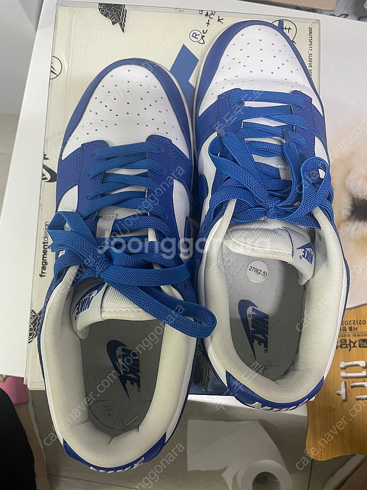 조던 로우 켄터키 270size--2