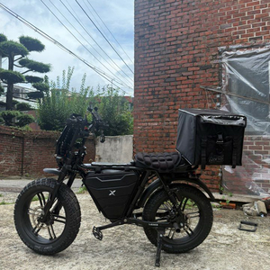엑스라이더 X200 프로 500w 얼마안탐