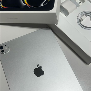 아이패드프로 M4 11 256g wifi