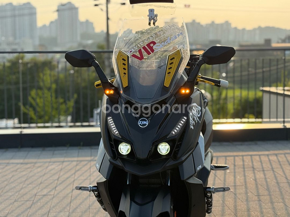 크루심알파125--5