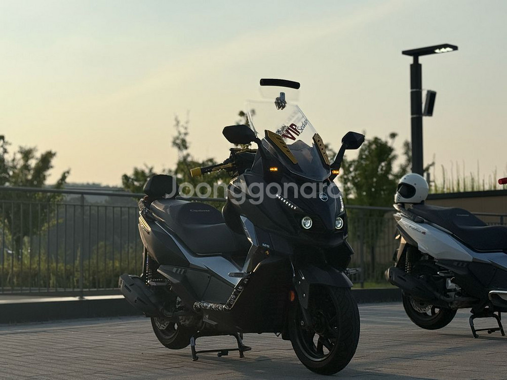 크루심알파125--1