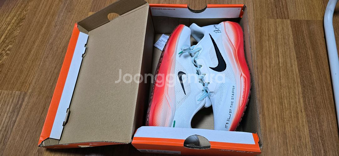 나이키 에어 줌 페가수스 41 265 새신발 팝니다--2