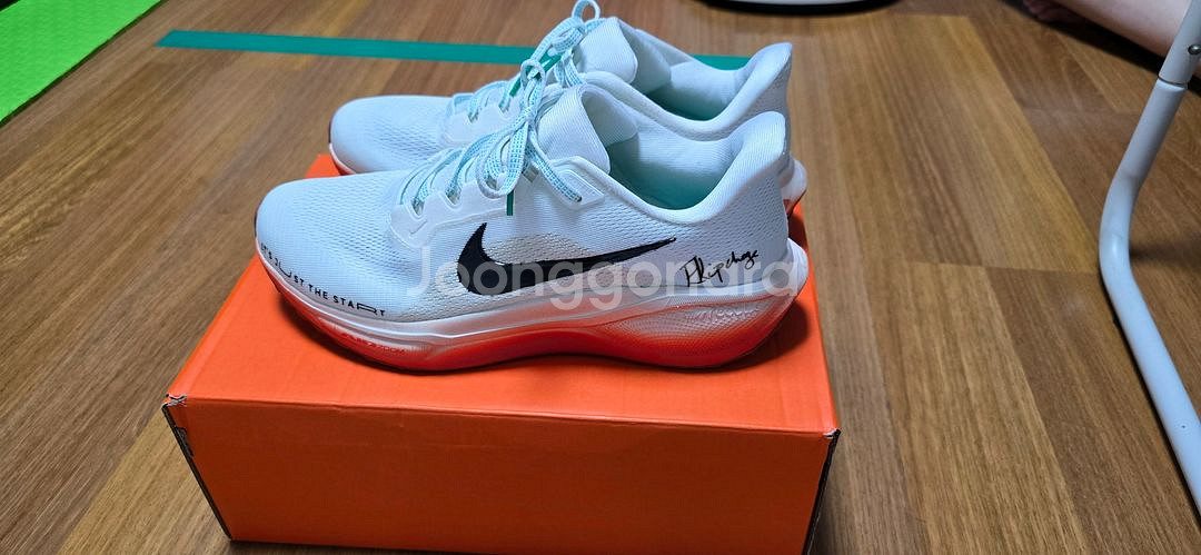 나이키 에어 줌 페가수스 41 265 새신발 팝니다--5