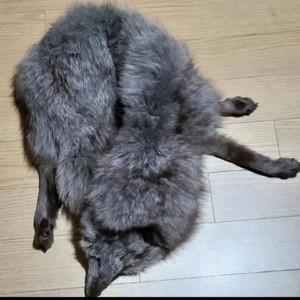 여우 목도리