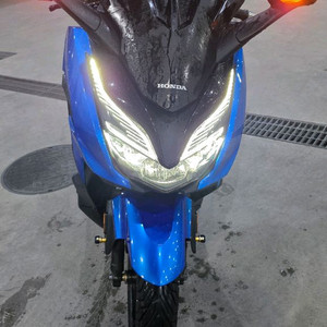 21년 포르자350 적은키로수팝니다