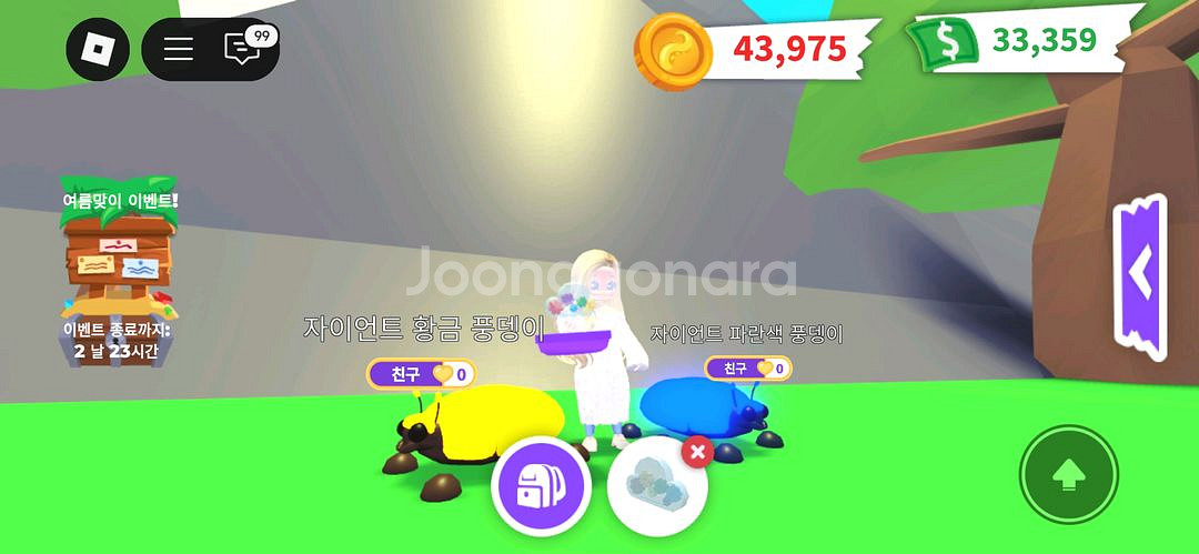 입양하세요 펫 의상 무지개 메이커 (무메) 판매합니다--1