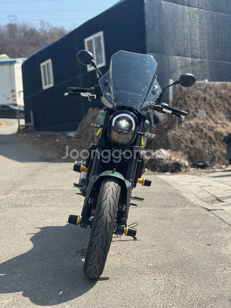 베넬리 레온치노250 22년식 4천키로 저렴하게 판매--7