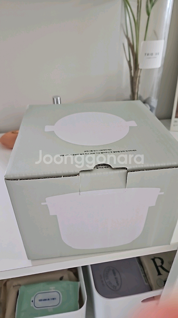 칼로볼--0