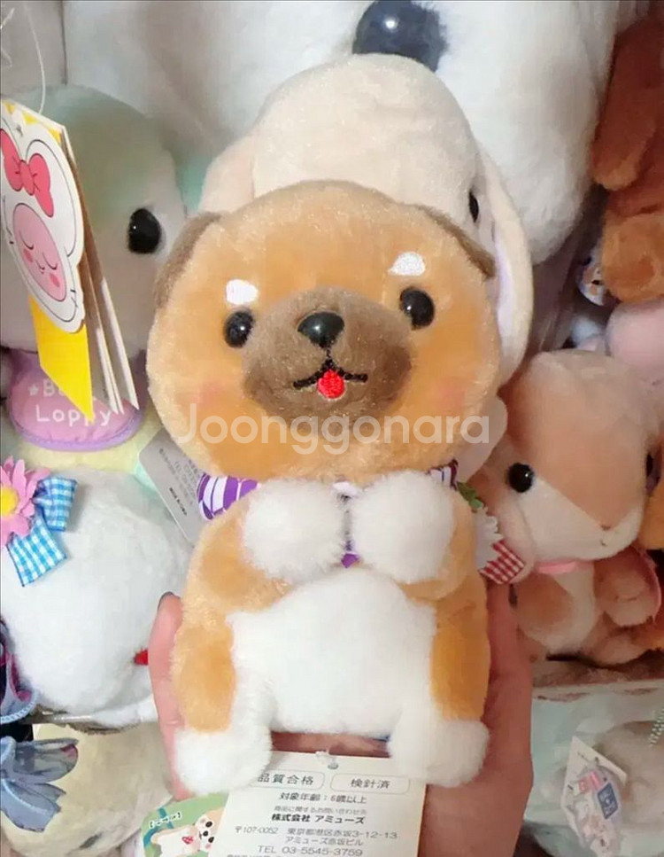 일본정품-마메시바 스탠다드 인형--0