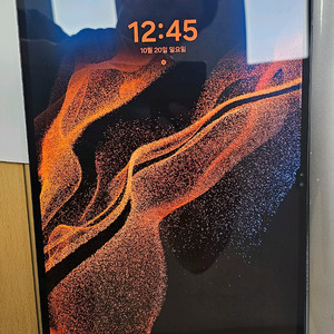 갤럭시탭 S8 울트라 256g wifi A급