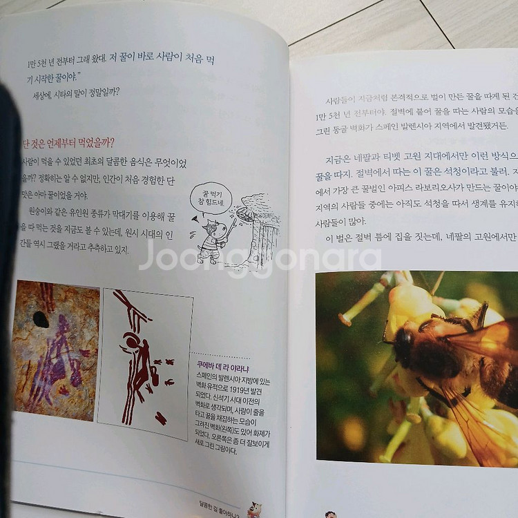 사이언싱톡톡 전권40권세트--3