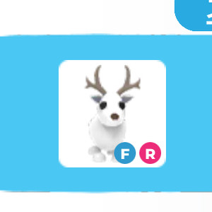 입양하세요 흰순