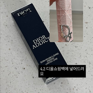 디올 립케이스