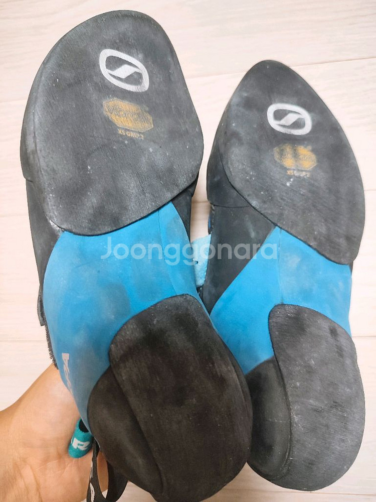 스카르파 암벽화 팝니다--3