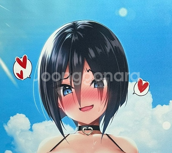 데라우에아 일러스트 B0, B2 태피스트리 15개--0