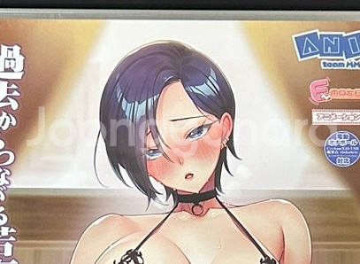 ANIM 네토라레 게임 2권, 태피스트리 3개 일괄판매--0