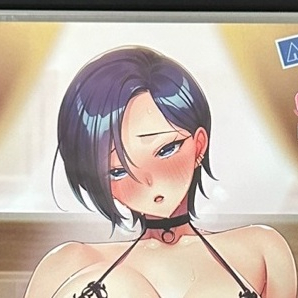 ANIM 네토라레 게임 2권, 태피스트리 3개 일괄판매