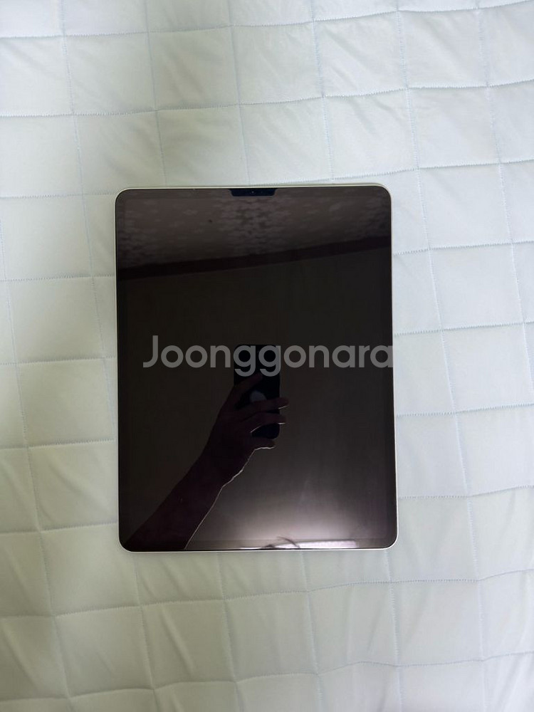 아이패드 프로3세대 12.9 256gb + 애플펜슬--0