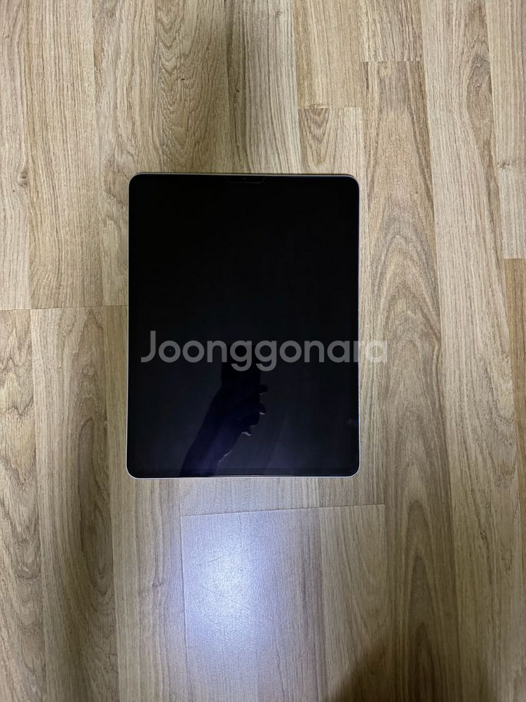 아이패드 프로3세대 12.9 256gb + 애플펜슬--1