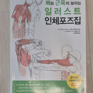 뼈와 근육이 보이는 일러스트 인체모음집