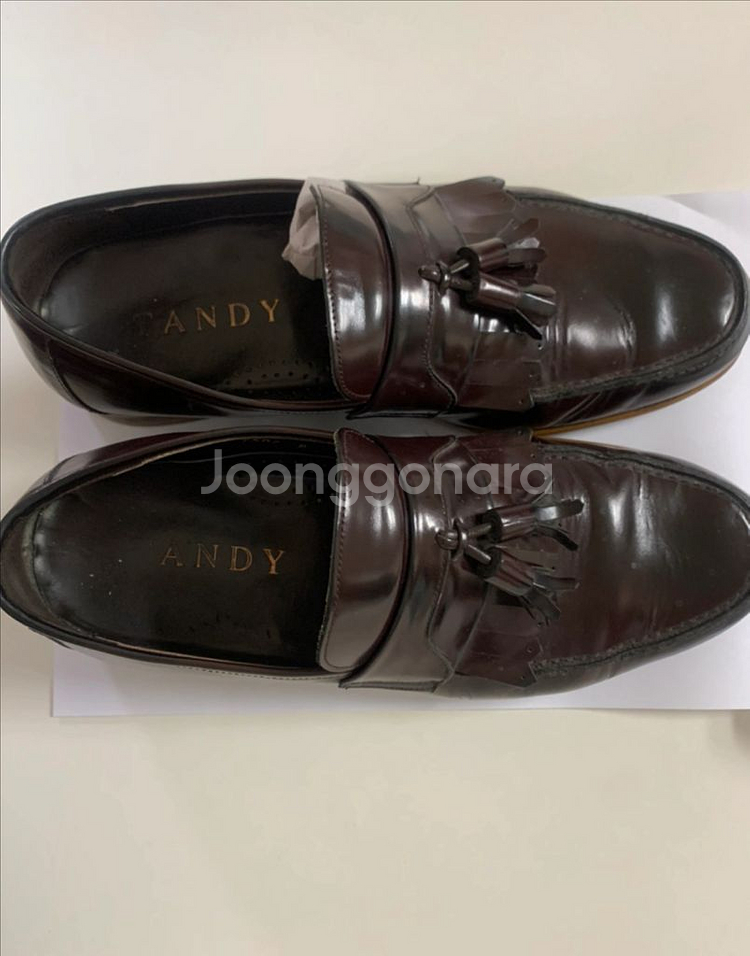 탠디 테슬 로퍼--0