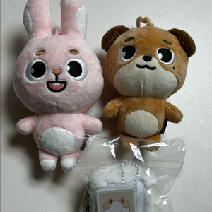 데이식스 데니멀즈 굿즈 판매