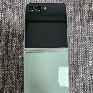 갤럭시 Z플립5 256GB 민트