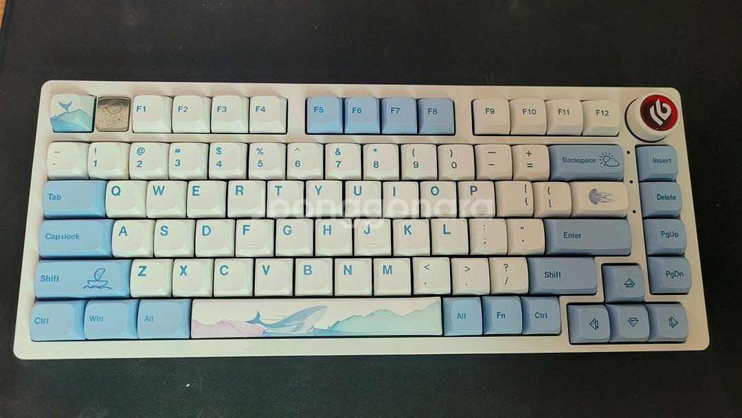 LEOBOG HI75 + HMX 파도축 + 알리키캡--0