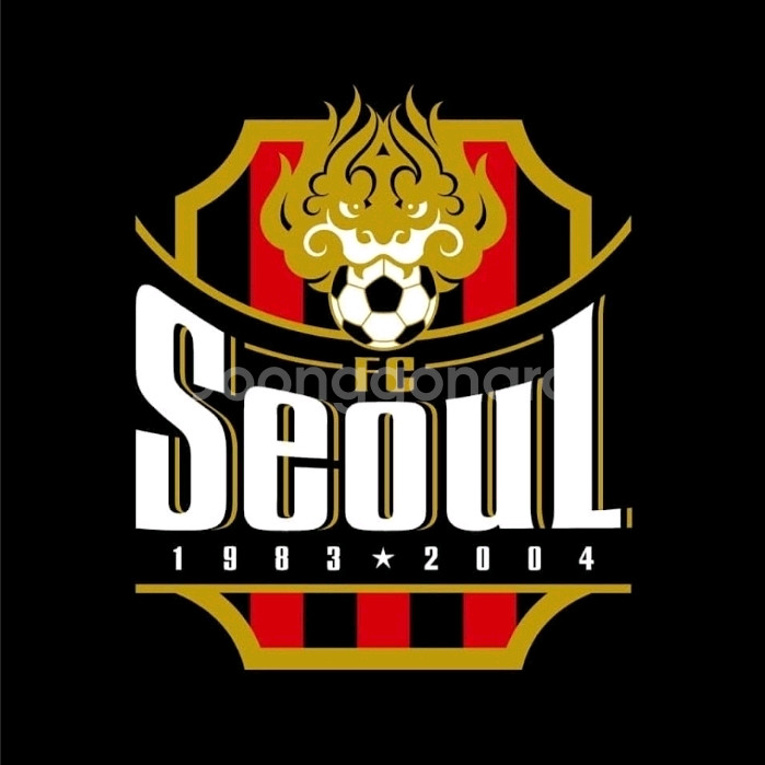 fc서울 유니폼 삽니다--0