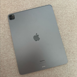 아이패드 프로 6세대 12.9인치