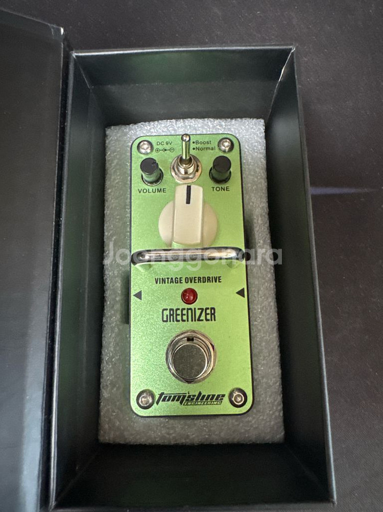 Greenizer 이펙터(급처)--0