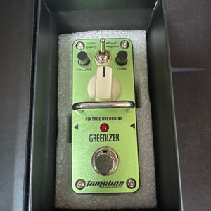 Greenizer 이펙터(급처)