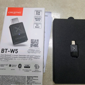 bt-w5 동글