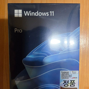 windows 11 pro 처음사용자용