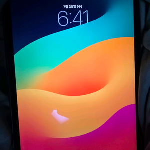 아이패드 프로 11인치 256기가 3세대