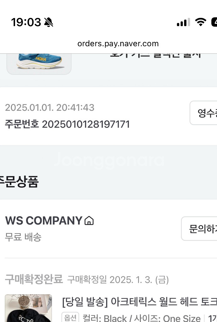 아크테릭스 월드 헤드 토크 오르카 비니--1