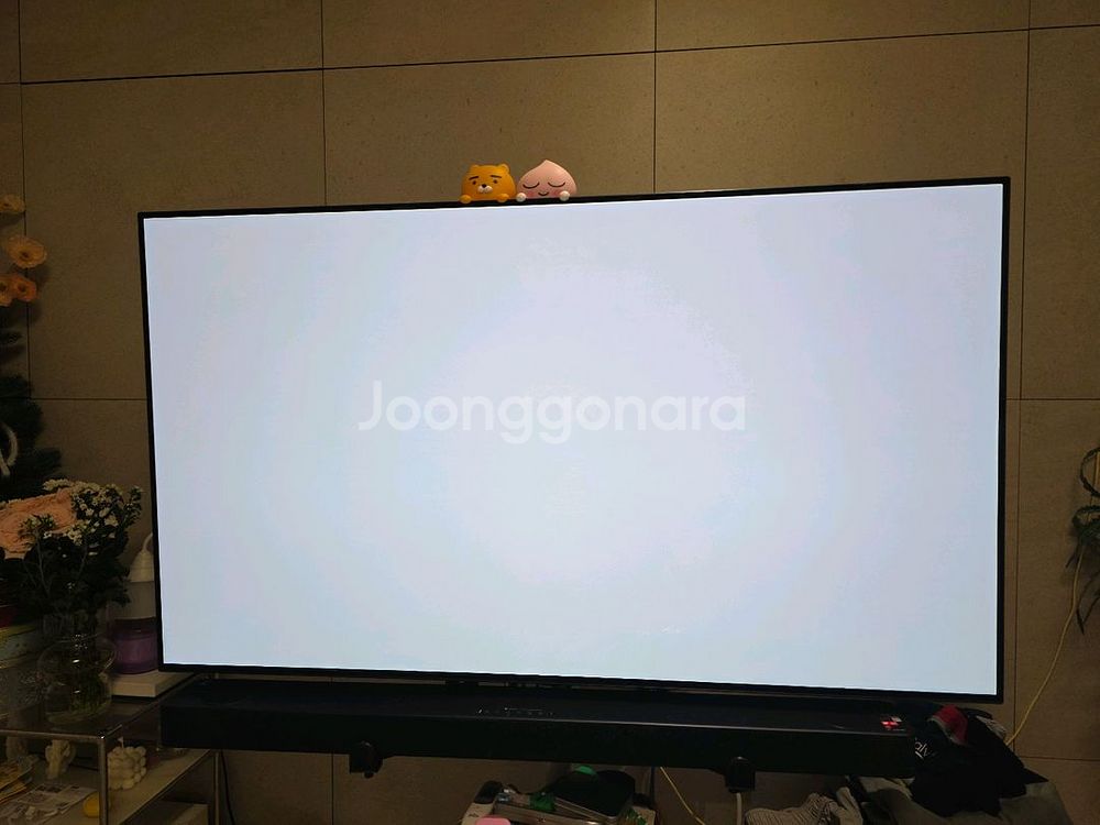 LG 올레드 55인치 TV 55CXCNA--4