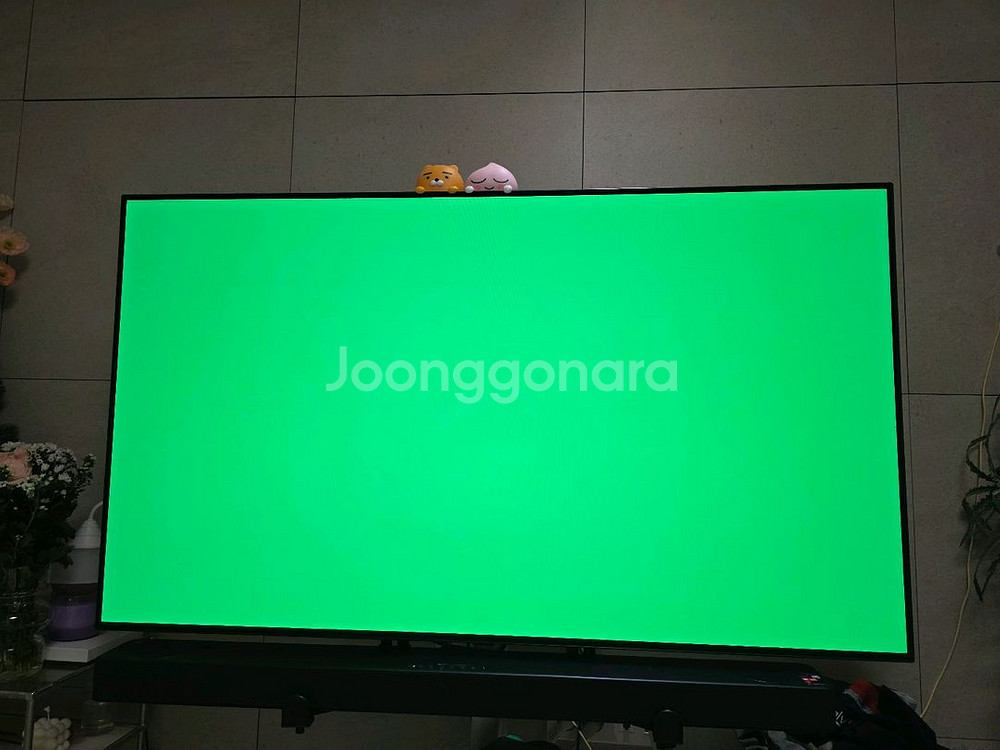 LG 올레드 55인치 TV 55CXCNA--3