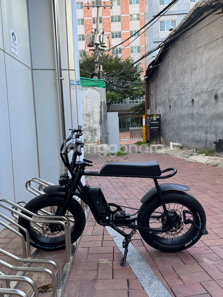 모페즈 OG SUS(서스) 1000w--0