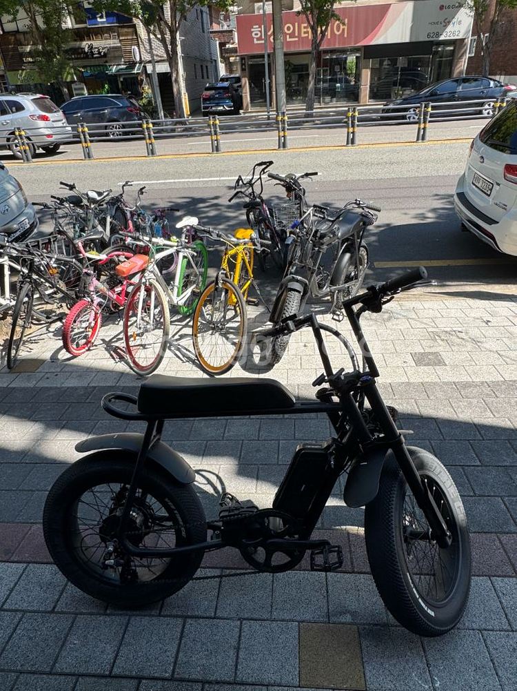 모페즈 OG SUS(서스) 1000w--1