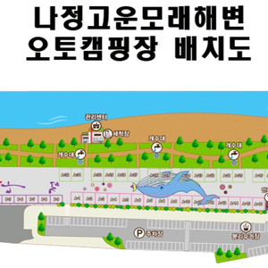 나정고운모래해변 캠핑장 B3 7월31일 1박