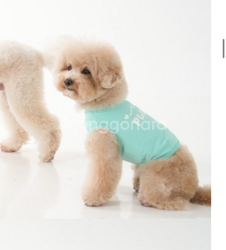 소형견 여름용 쿨나시 여름옷 (수영복겸용)--2